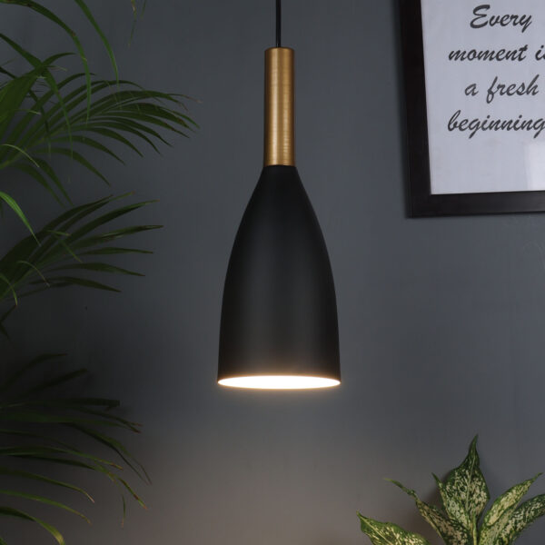 Dijon Black Aluminum ML - 05 Hanging Light